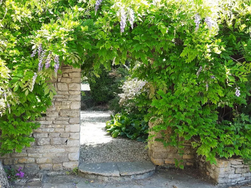 The stone gateway, hung with wisteria