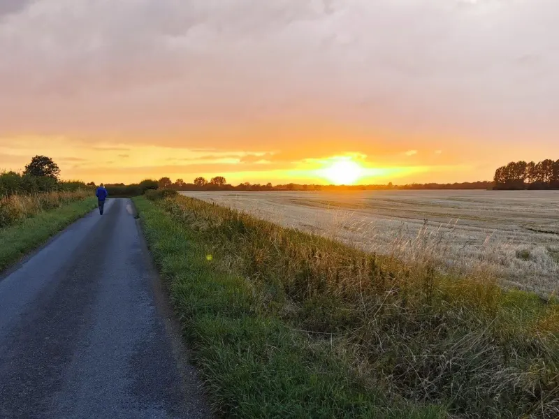Sunset down the lane