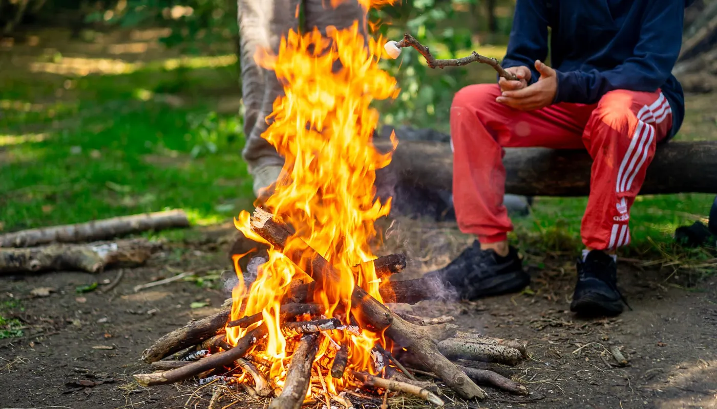 A campfire in the woods