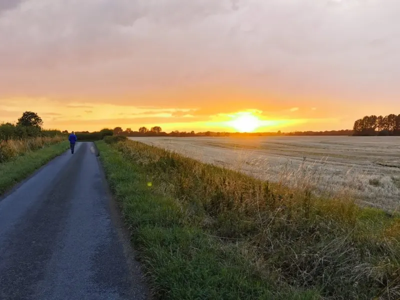 Sunset down the lane