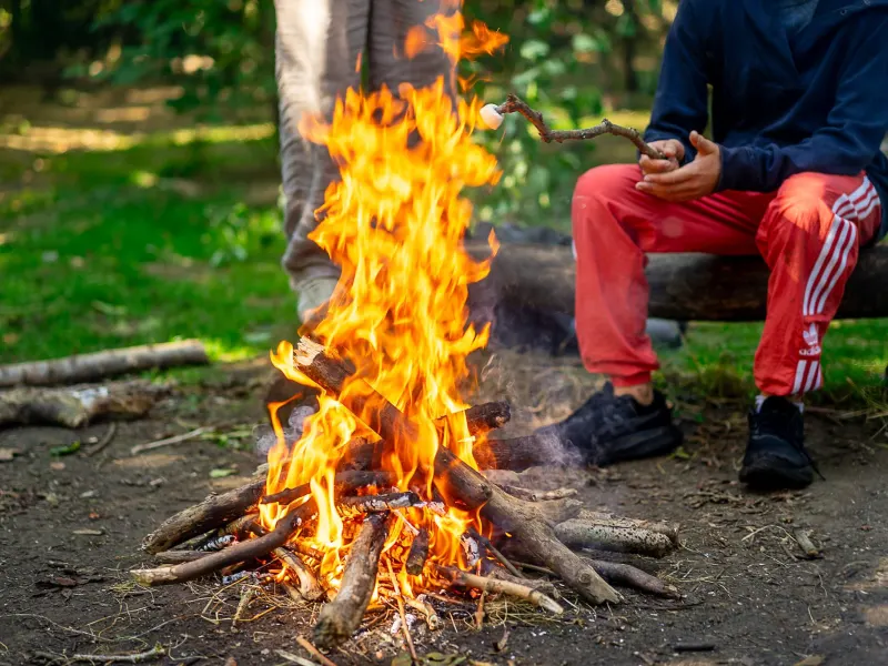 A campfire in the woods