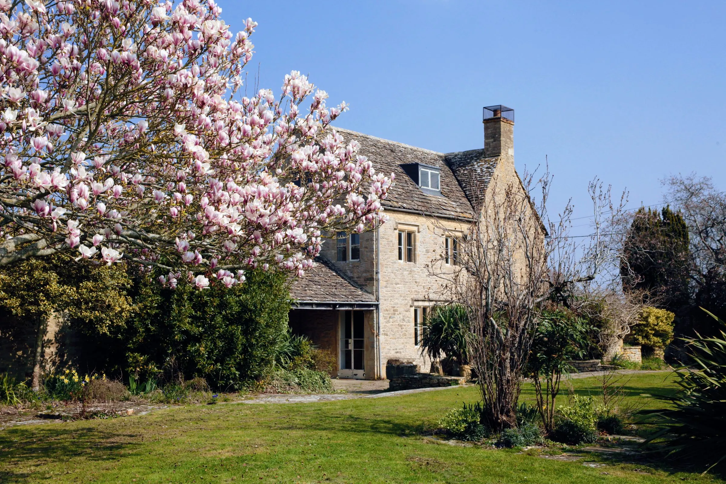 Lower Farm House in spring, with a magnolia in flower