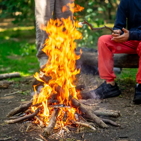 A campfire in the woods
