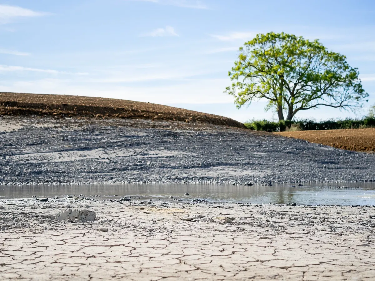 The newly dug lakebed, looking across to the oak on what will become the island
