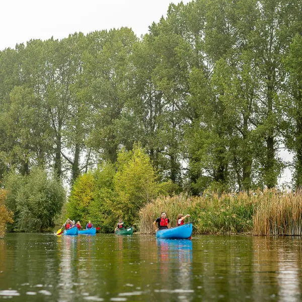 Paddling as a group past the reeds