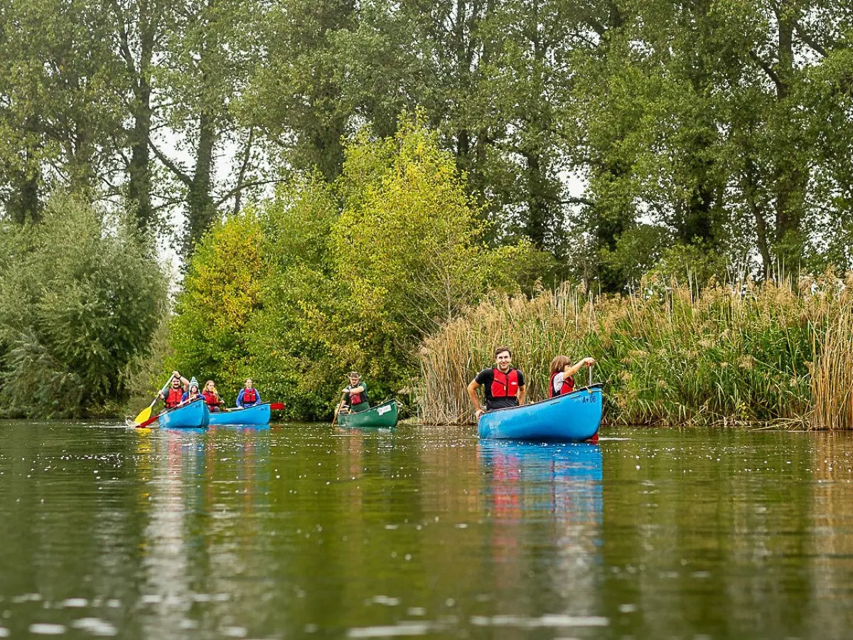 A group paddling canoes along the river past tall reeds