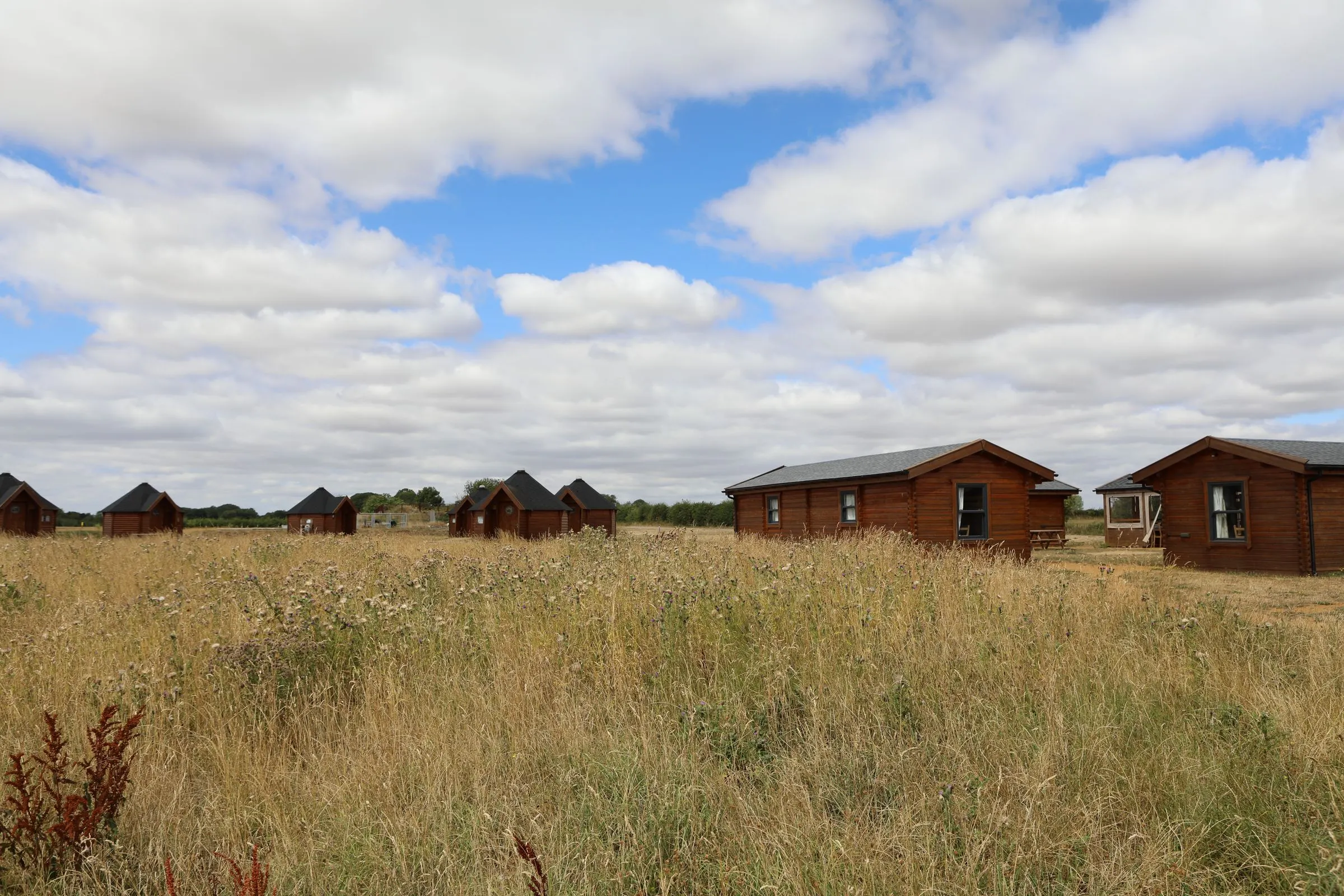 The yurt village across the summer meadow